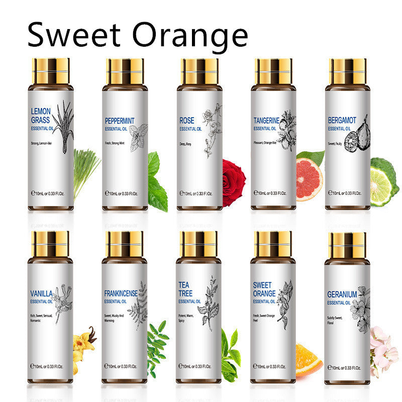 Assorted essential oil bottles including lavender, rose, and tea tree, ideal for aromatherapy and skin moisturizing benefits.
