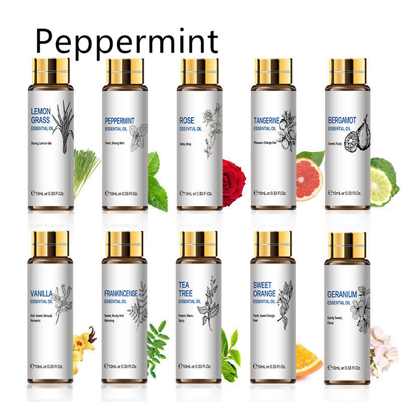 Assorted essential oils including peppermint, lemongrass, tea tree, rose, displayed in 10ml bottles for aromatherapy use.