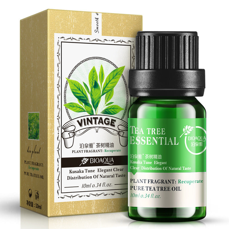 10ml tea tree essential oil bottle and packaging by Boquanya, features vintage design for moisturizing and pore-shrinking benefits.
