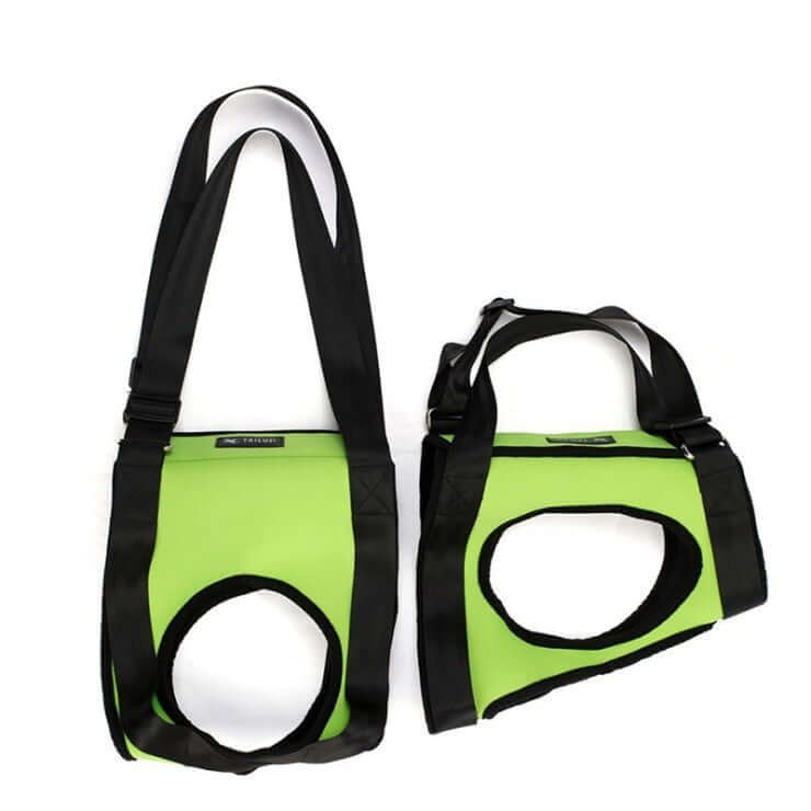 Pet Specific Safety Care Equipment – Auxiliary Belt for Enhanced Security and Comfort During Walks