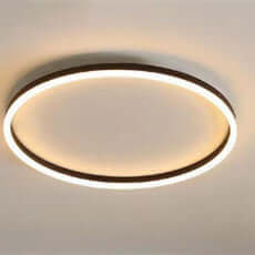 Romantic Personalized Ceiling Lighting for Study - Elegant and Customizable Light Fixture"