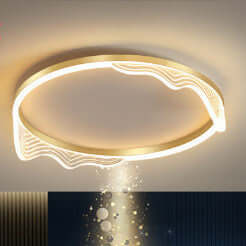 Romantic Personalized Ceiling Lighting for Study - Elegant and Customizable Light Fixture"