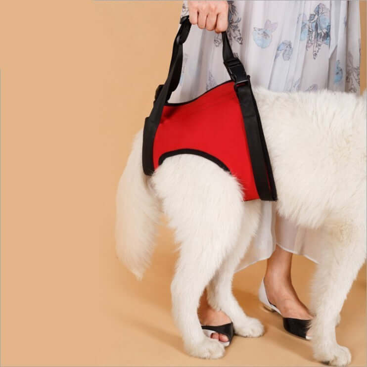 Pet Specific Safety Care Equipment – Auxiliary Belt for Enhanced Security and Comfort During Walks