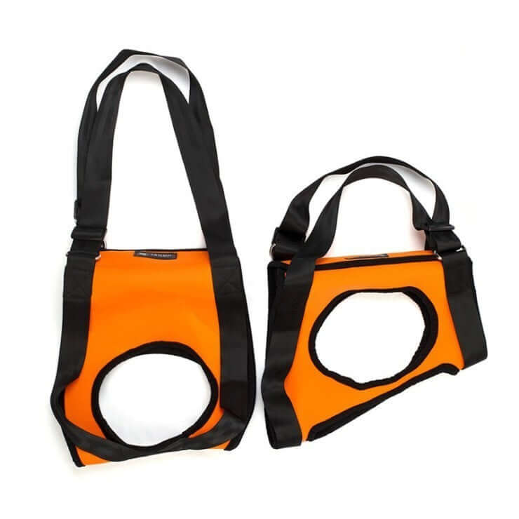 Pet Specific Safety Care Equipment – Auxiliary Belt for Enhanced Security and Comfort During Walks