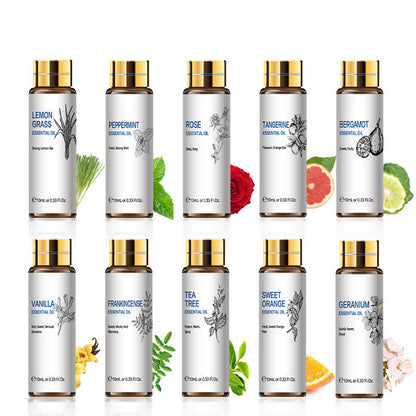 Assorted essential oils including lemongrass, peppermint, rose, and tea tree in 10ml bottles for aromatherapy and skincare.