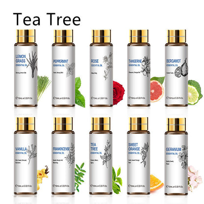 Essential oil collection including tea tree, lavender, rose, and more in 10ml bottles for aromatherapy and skincare benefits.