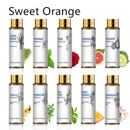 Assorted essential oil bottles including lavender, rose, and tea tree, ideal for aromatherapy and skin moisturizing benefits.
