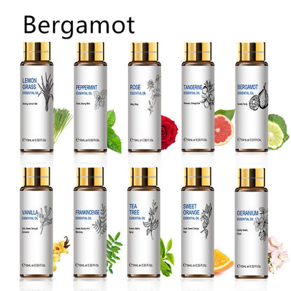 Assorted essential oils including bergamot, lemon grass, peppermint, rose, tangerine, and tea tree in amber glass bottles.