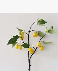 "Modern Minimalist Home Decorations - Stylish Accents for Living Room and Porch"