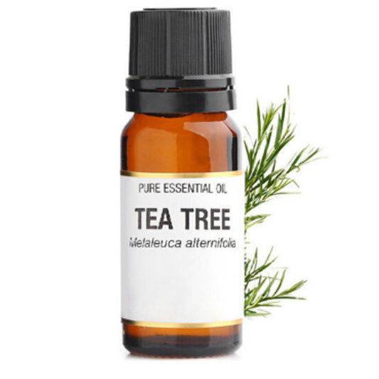 Tea Tree Essential Oil 10ml bottle for aromatherapy, massage, and pore care with tea tree extract.