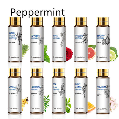 Assorted essential oils including peppermint, lemongrass, tea tree, rose, displayed in 10ml bottles for aromatherapy use.