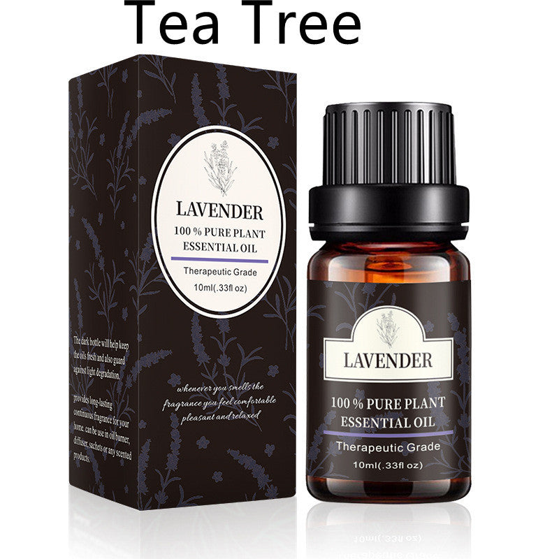Lavender essential oil bottle and box packaging, 100% pure plant oil, 10ml, therapeutic grade for aromatherapy and skin care.