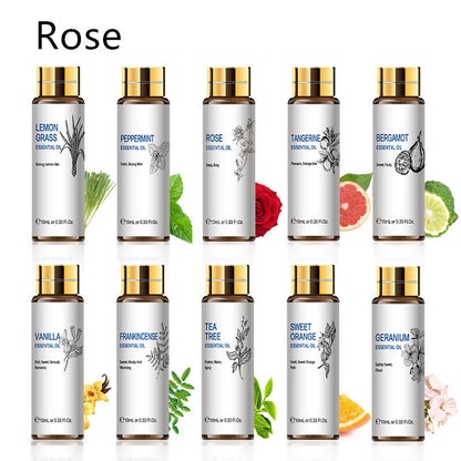 "Collection of essential oils including rose, lemongrass, peppermint, tea tree, and more, in 10 ml bottles for aromatherapy."