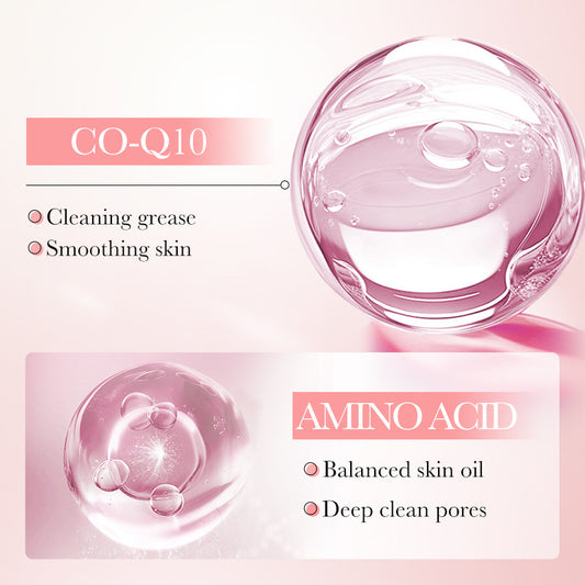 Hyaluronic Acid Amino Acid Cleansing Mousse benefits, featuring CO-Q10 for smoothing skin and amino acids for balanced skin oil and pore cleansing.