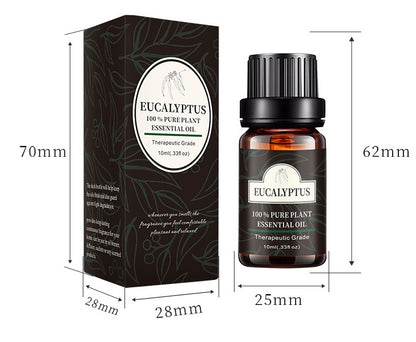 Eucalyptus essential oil bottle and box, therapeutic grade, 10ml, with dimensions listed in millimeters.