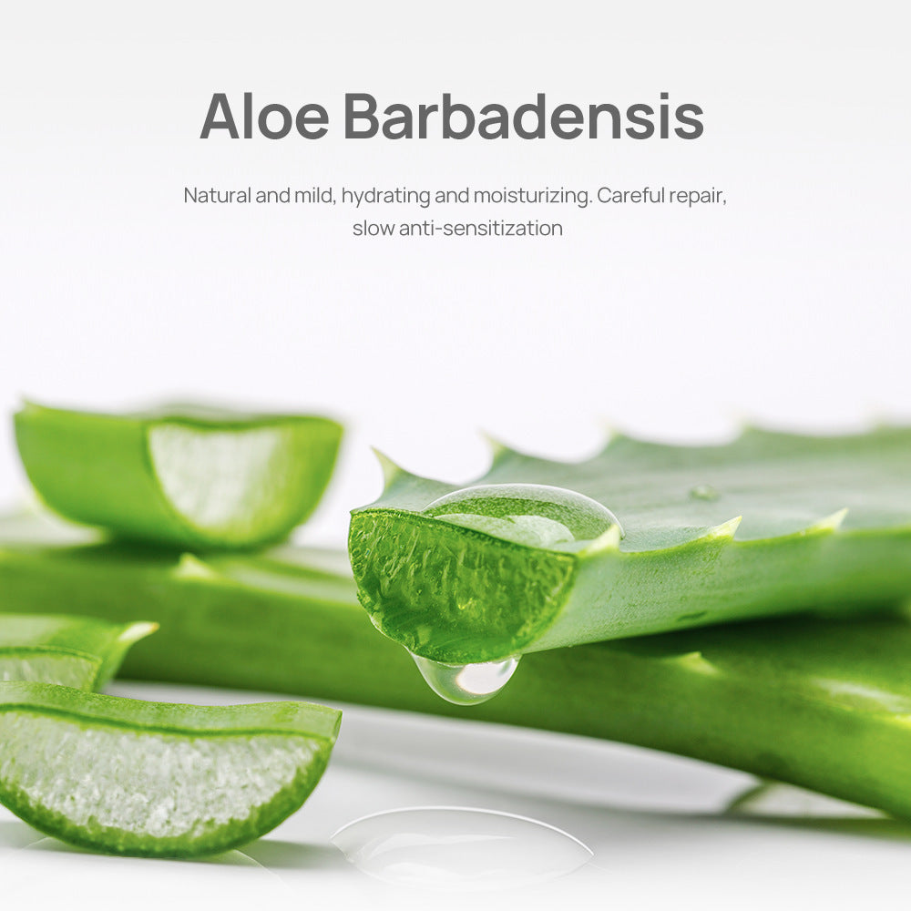 Blue Beina Aloe Blackhead Removing Nasal Sticker Single Piece