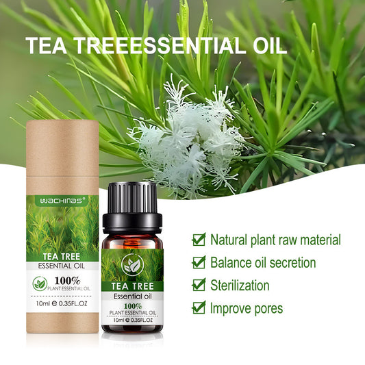 Essential Tea Tree Oil Massage Facial Body Aromatherapy Massage