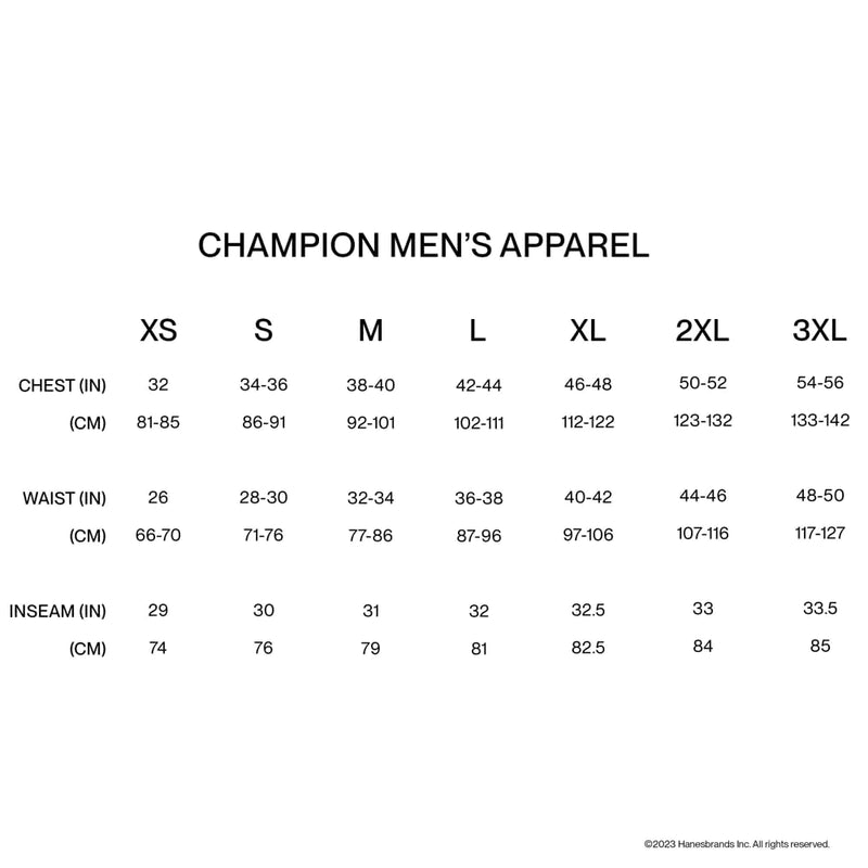 Champion Men'S Classic T-Shirt, Everyday Tee For Men, Comfortable Soft Men'S T-Shirt (Reg. Or Big & Tall) X-Large Navy