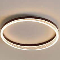 Romantic Personalized Ceiling Lighting for Study - Elegant and Customizable Light Fixture"